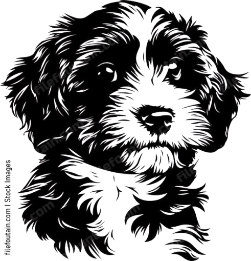 majesticcavapoopuppies.com